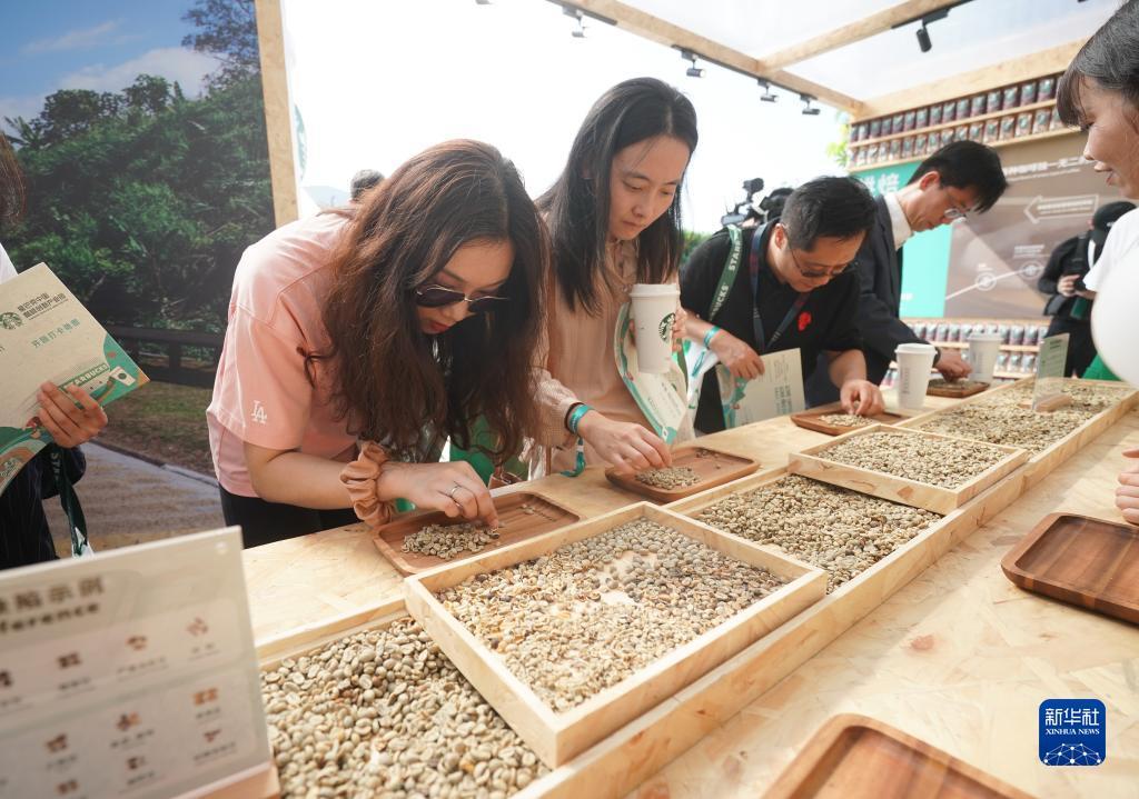 真的棋牌官网版